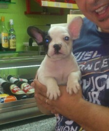 Romeo
